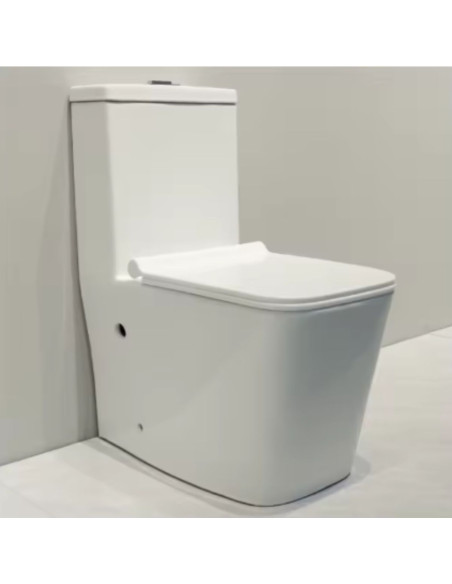 Inodoro Largo con Asiento y Deposito Mochila Tapa Suave Blanco